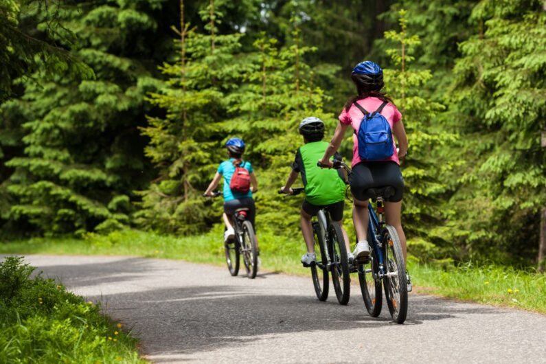 Cycling Around Adelaide: The Best Bike Paths and Trails – Torrens Linear Park, Mount Lofty, Coastal Paths